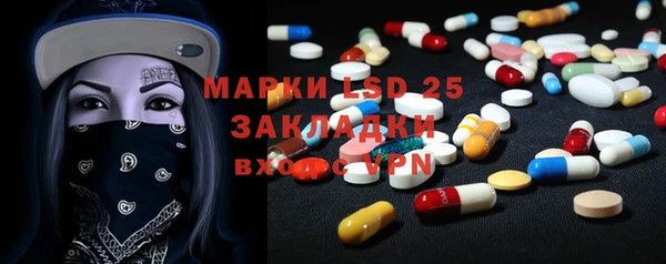 шишки Бородино
