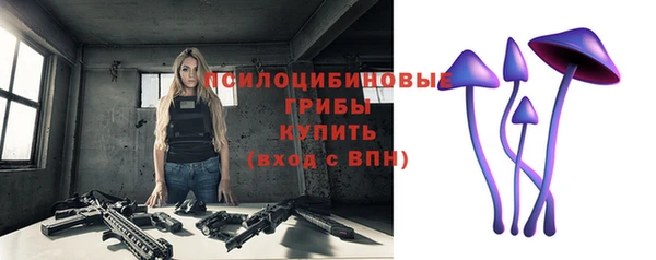 шишки Бородино