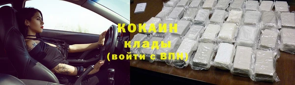 шишки Бородино