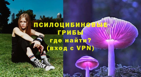 COCAINE Богородск