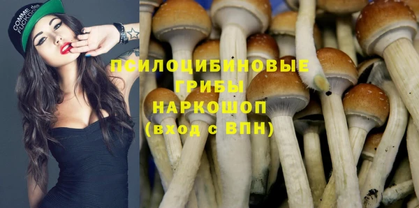 шишки Бородино