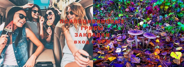шишки Бородино